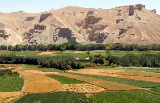 Ministry to Deliver 10,000 Tons of Seed to Farmers